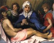 Andrea del Sarto Lamentation of Christ France oil painting artist